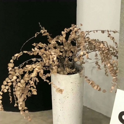 Furry插画手绘教程FurryQQ群